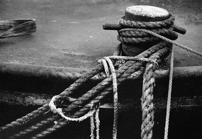 Ropes1.JPG