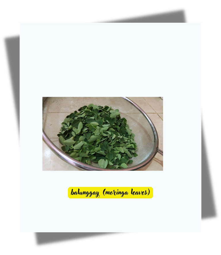 balunggay.png