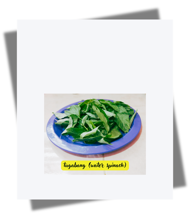 tugabang (water spinach).png