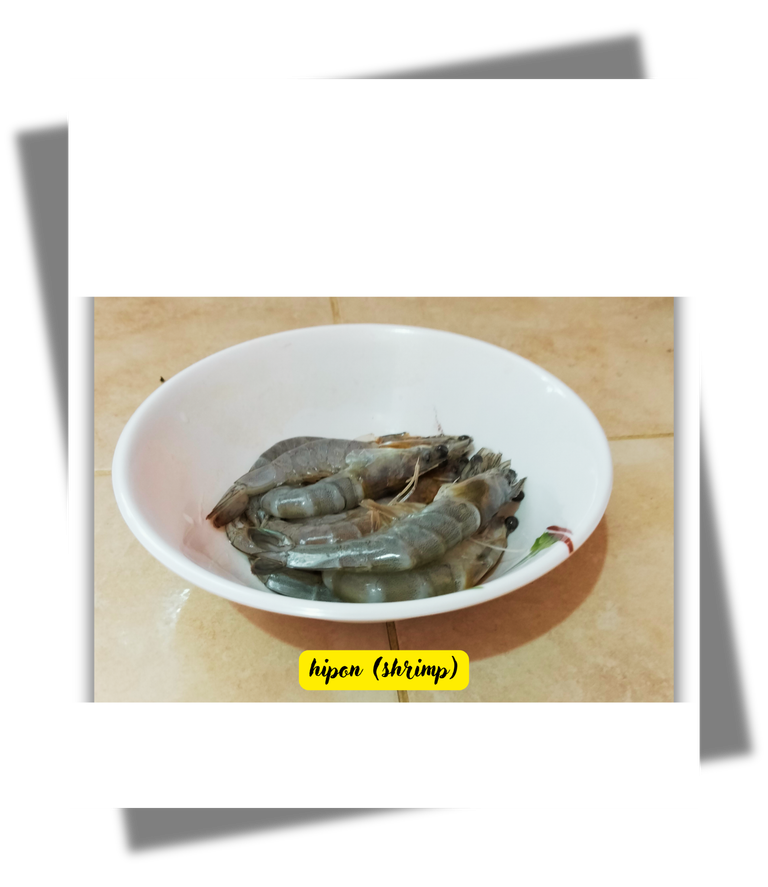 hipon (shrimp).png