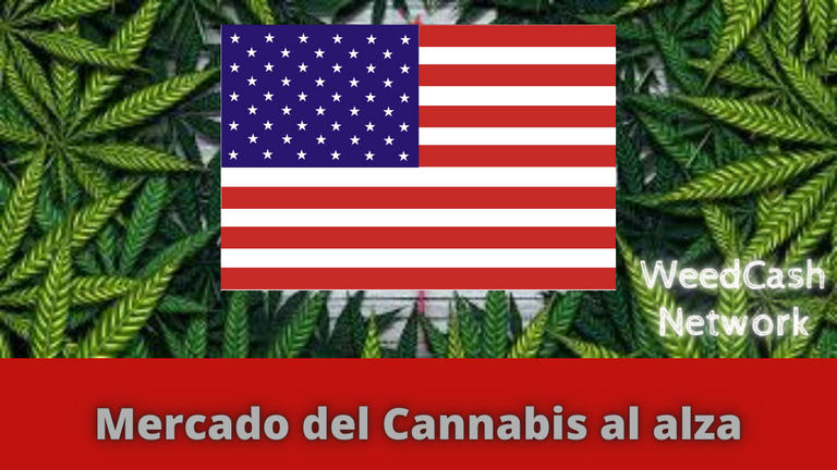 Mercado del Cannabis al alza.png