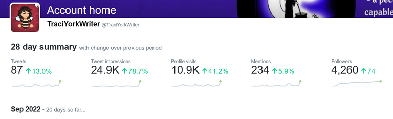 Screenshot 2022-09-21 at 15-01-40 Twitter Analytics account overview for TraciYorkWriter.png
