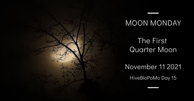 The First Quarter Moon November 11th, 2021 blog thumbnail.jpg