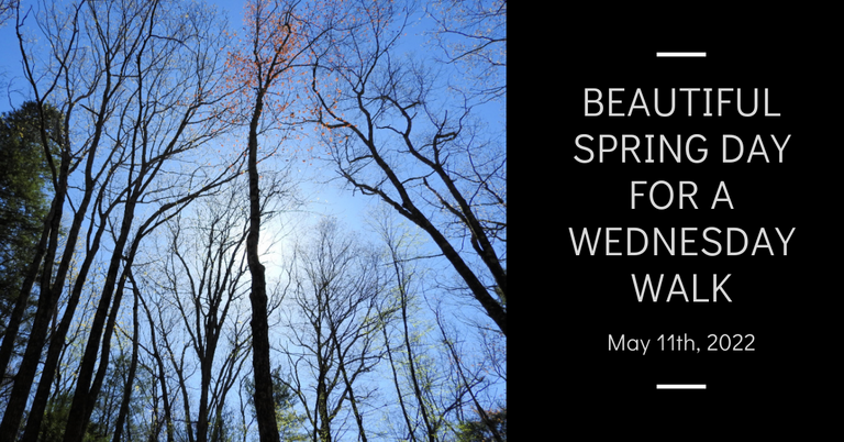 Beautiful Spring Day for a Wednesday Walk blog thumbnail.png