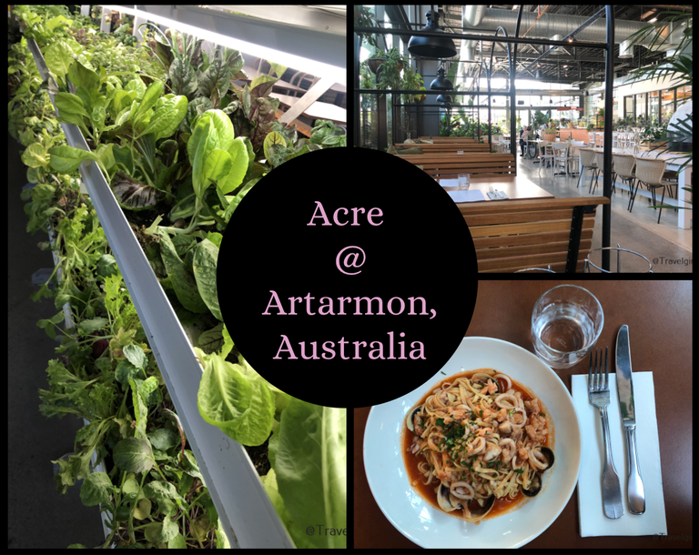 Acre @ Artarmon, Australia.png