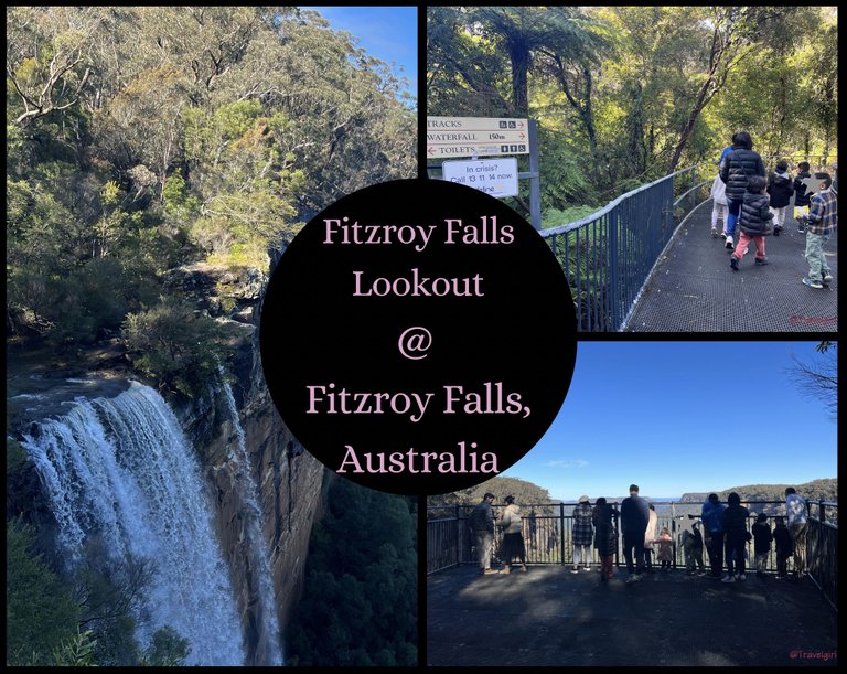 Fitzroy Falls.png