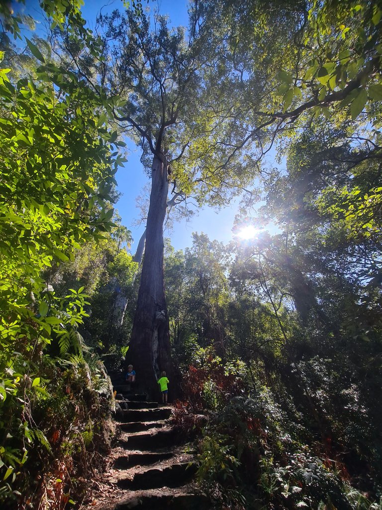 20220807_100848.jpg