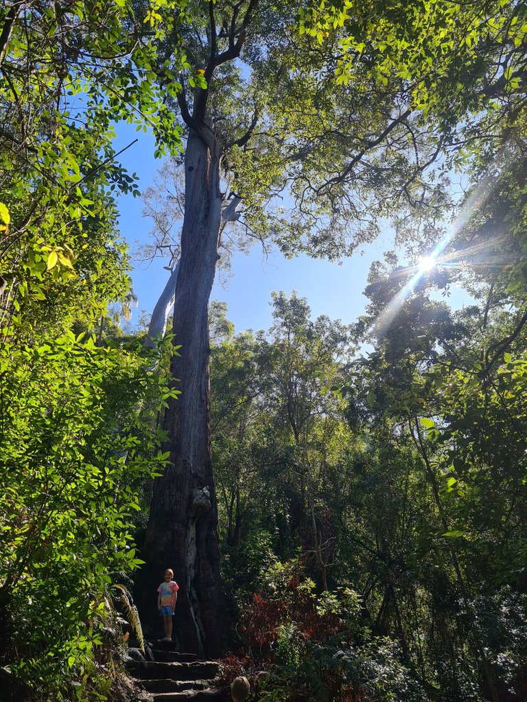 20220807_100821.jpg