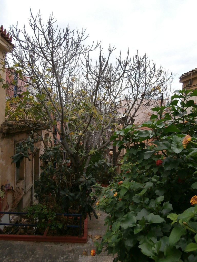 PC280017.JPG