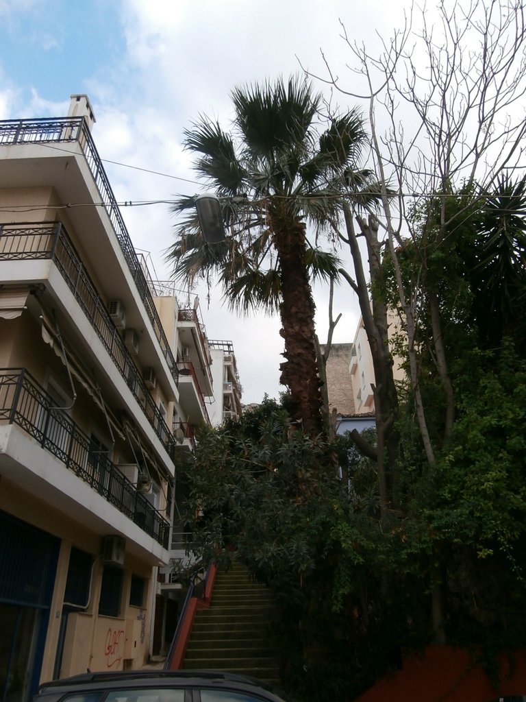 PC280016.JPG