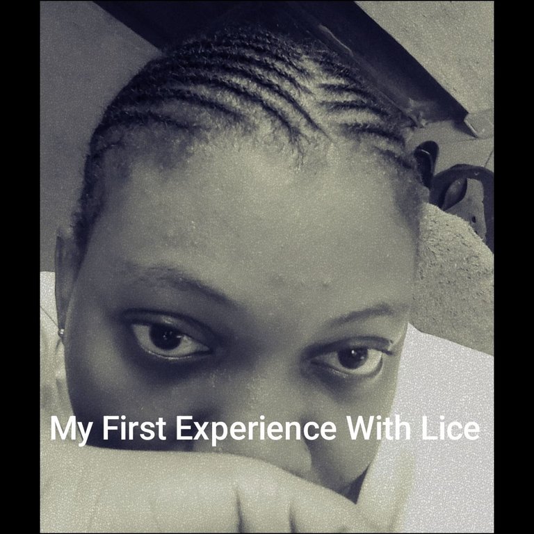 My First Experience with Lice