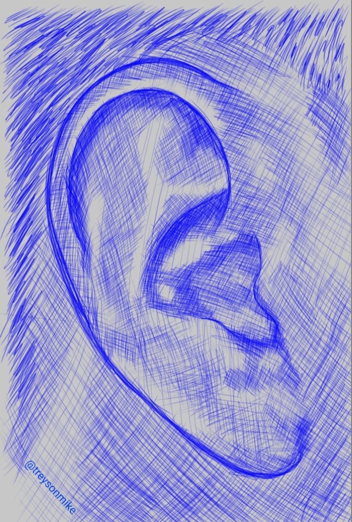 Art Day [53] : "Ear Study"