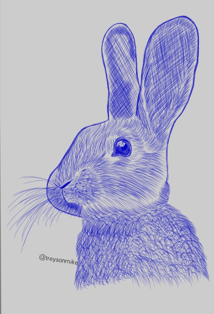 ART DAY [17] : "Rabbit"