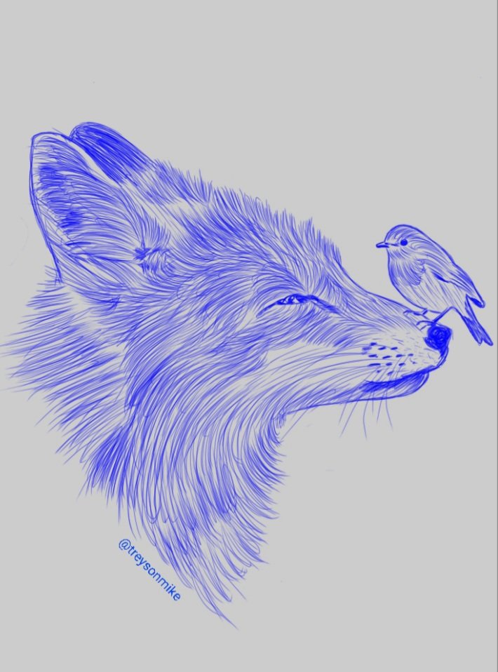 Art Day [38] : "Fox and Bird"