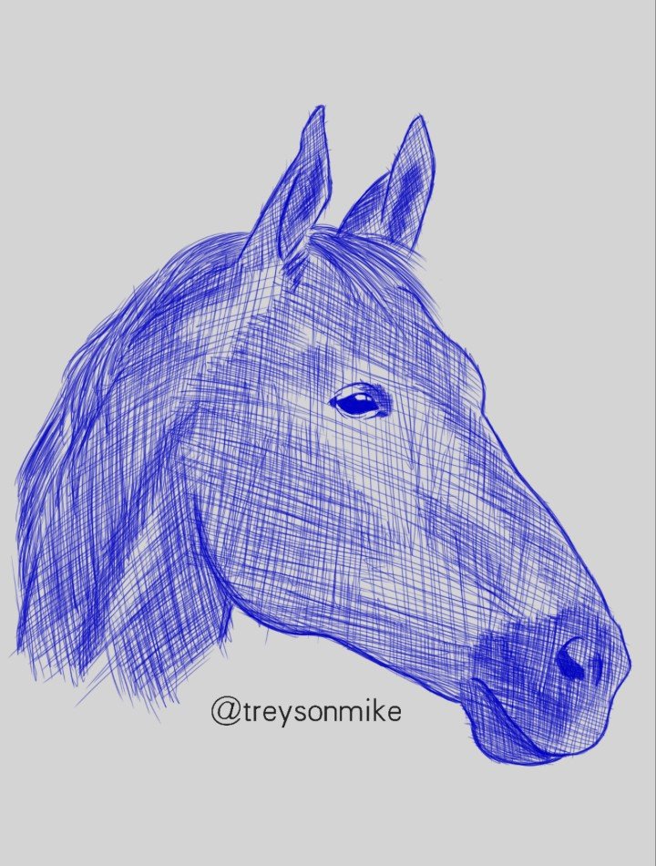 ART DAY [19] : "Horse"