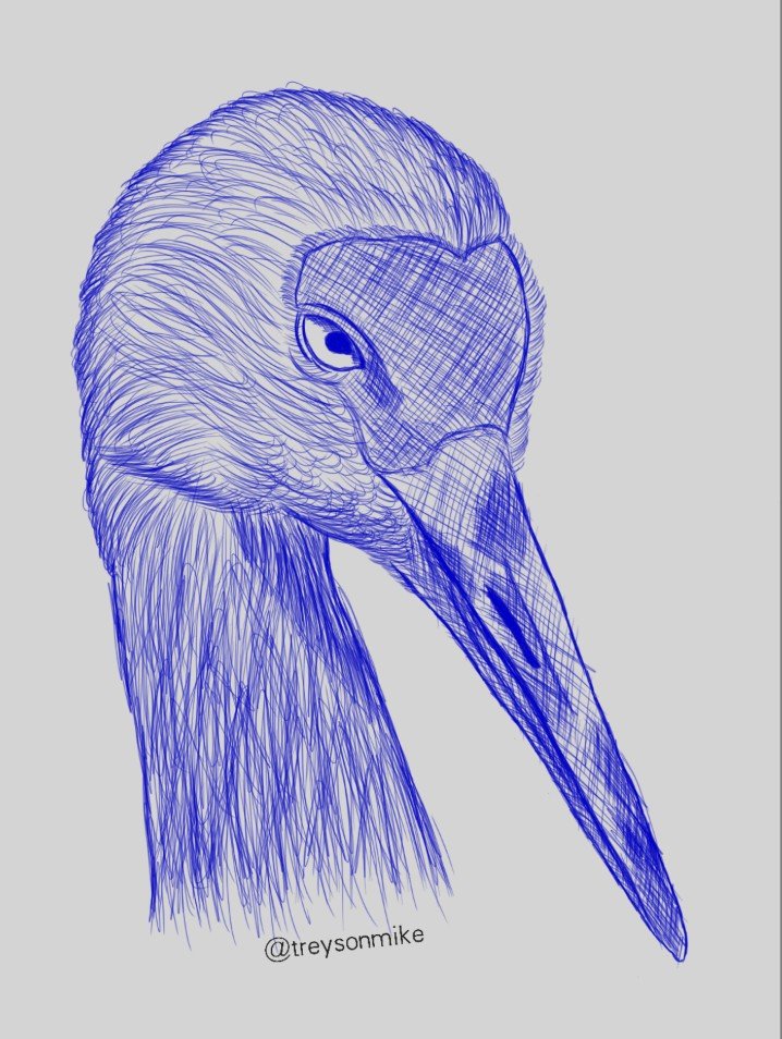 ART DAY [5] : "Sandhill Crane"