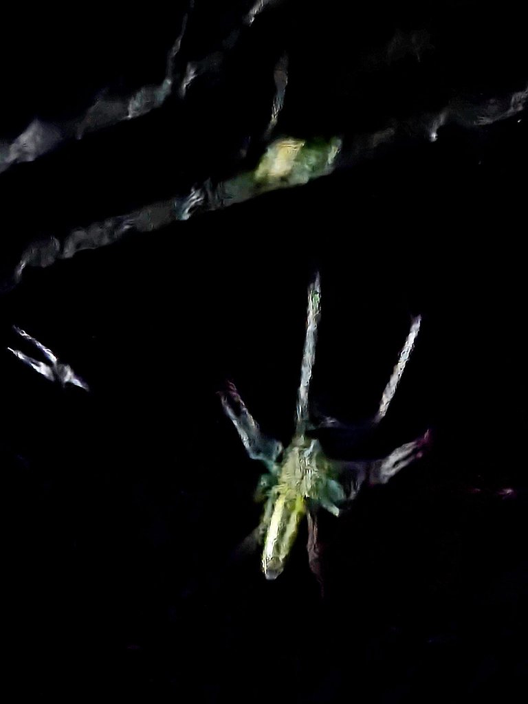 20250530_021547.jpg