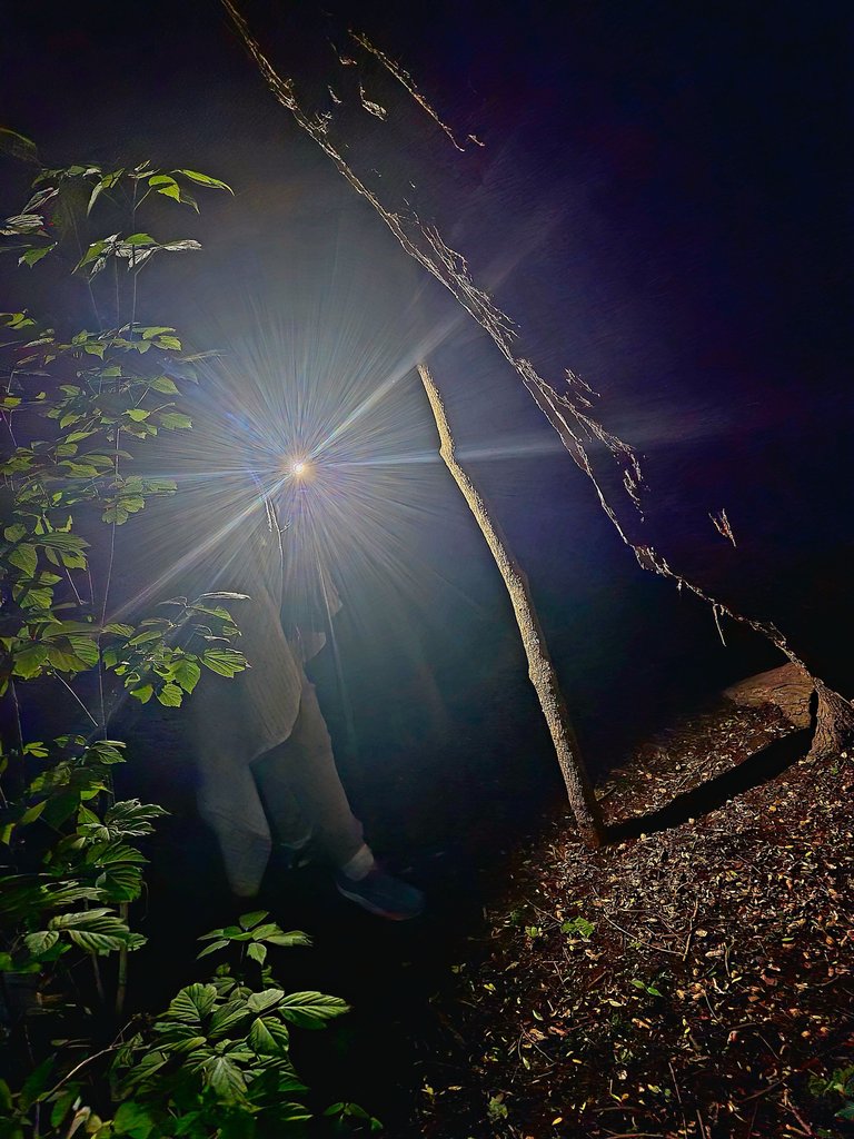 20250519_214959.jpg