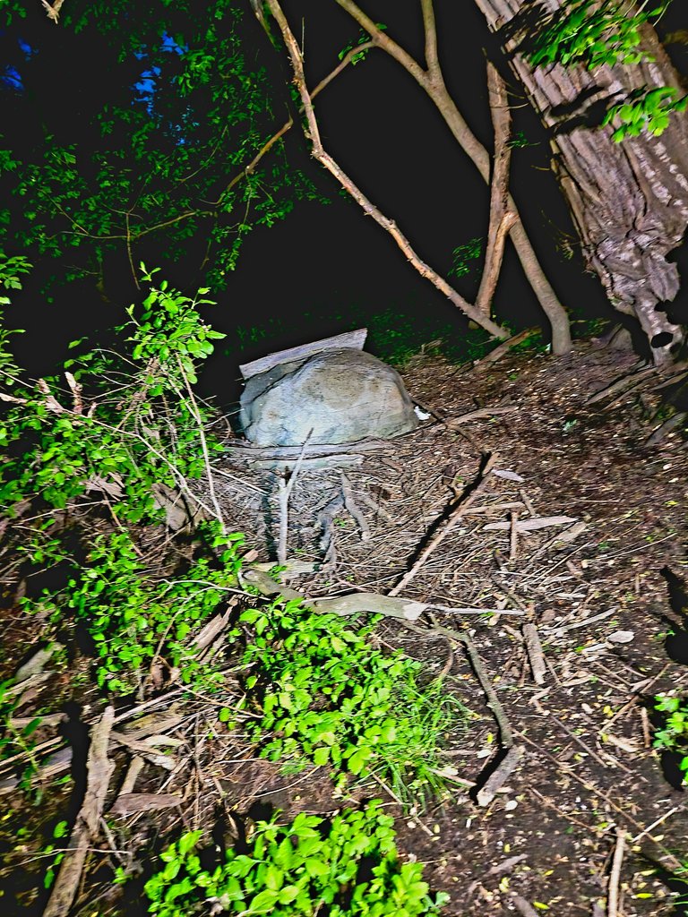 20250519_215202.jpg