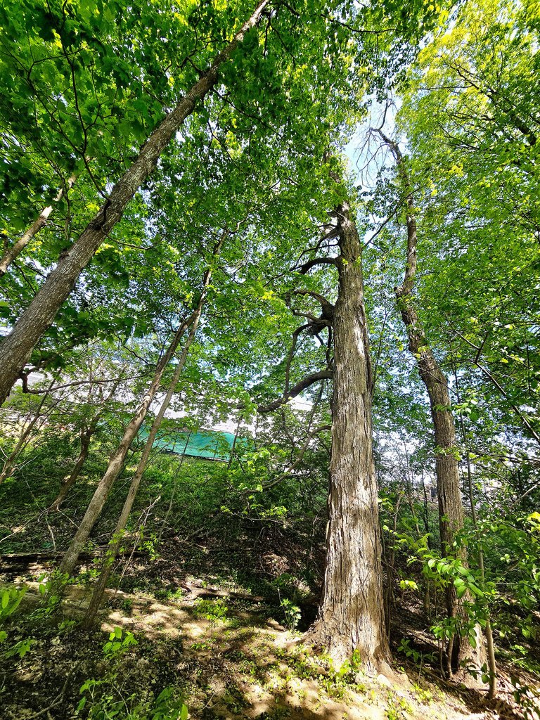 20250520_121202.jpg