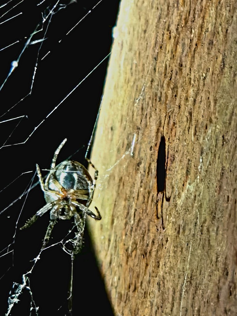 20250530_021615.jpg