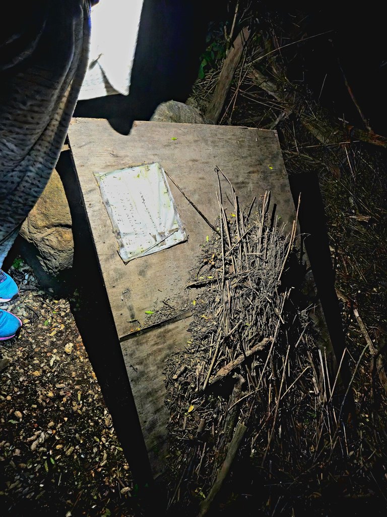 20250519_215452.jpg