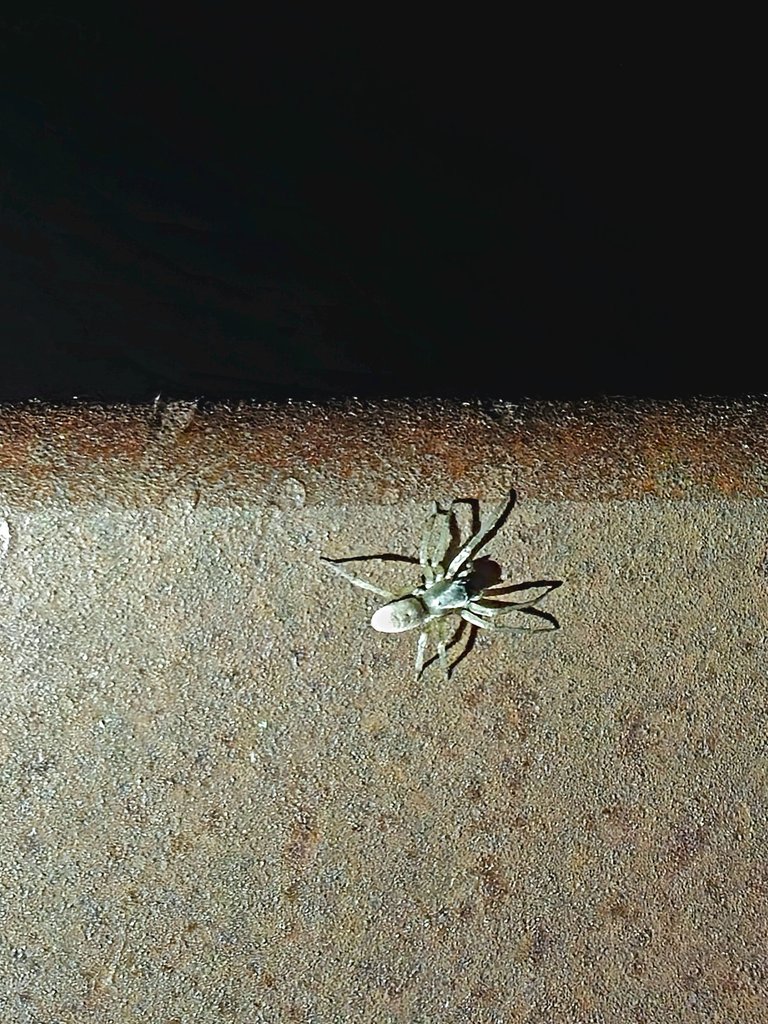 20250530_022108.jpg
