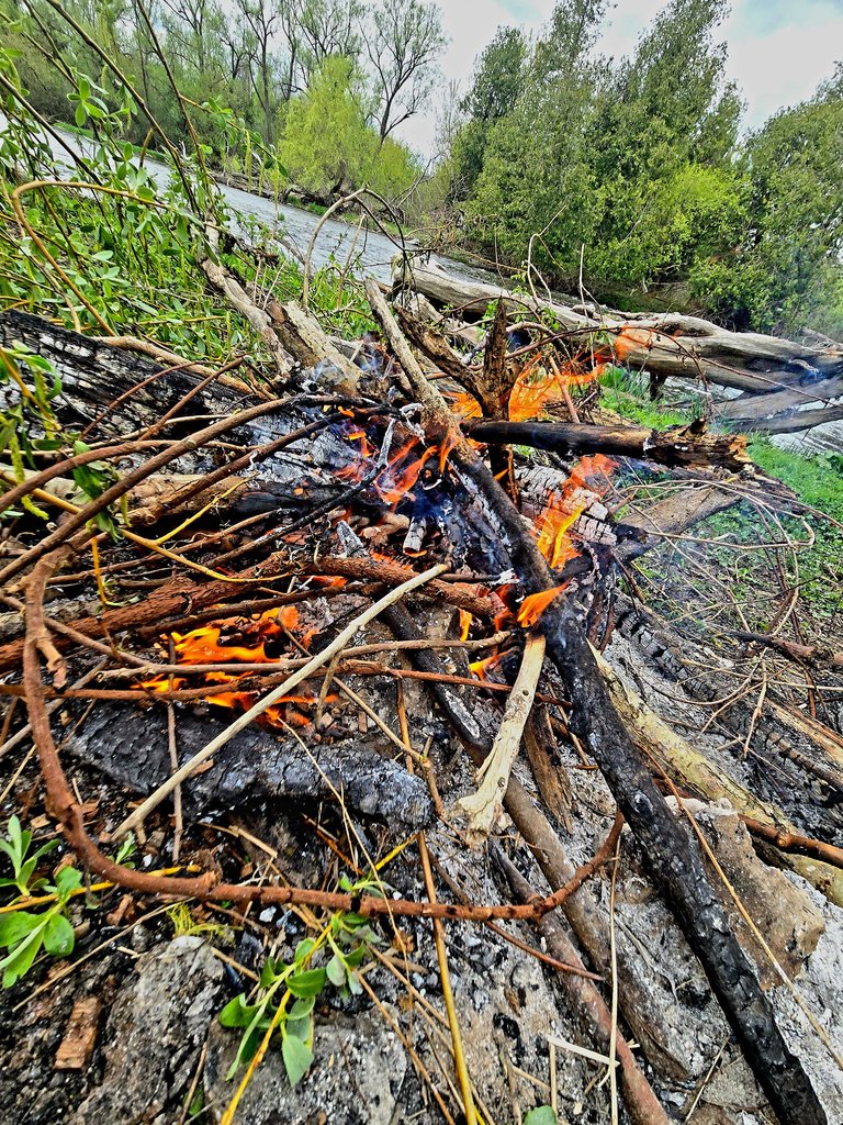 20250506_144256.jpg