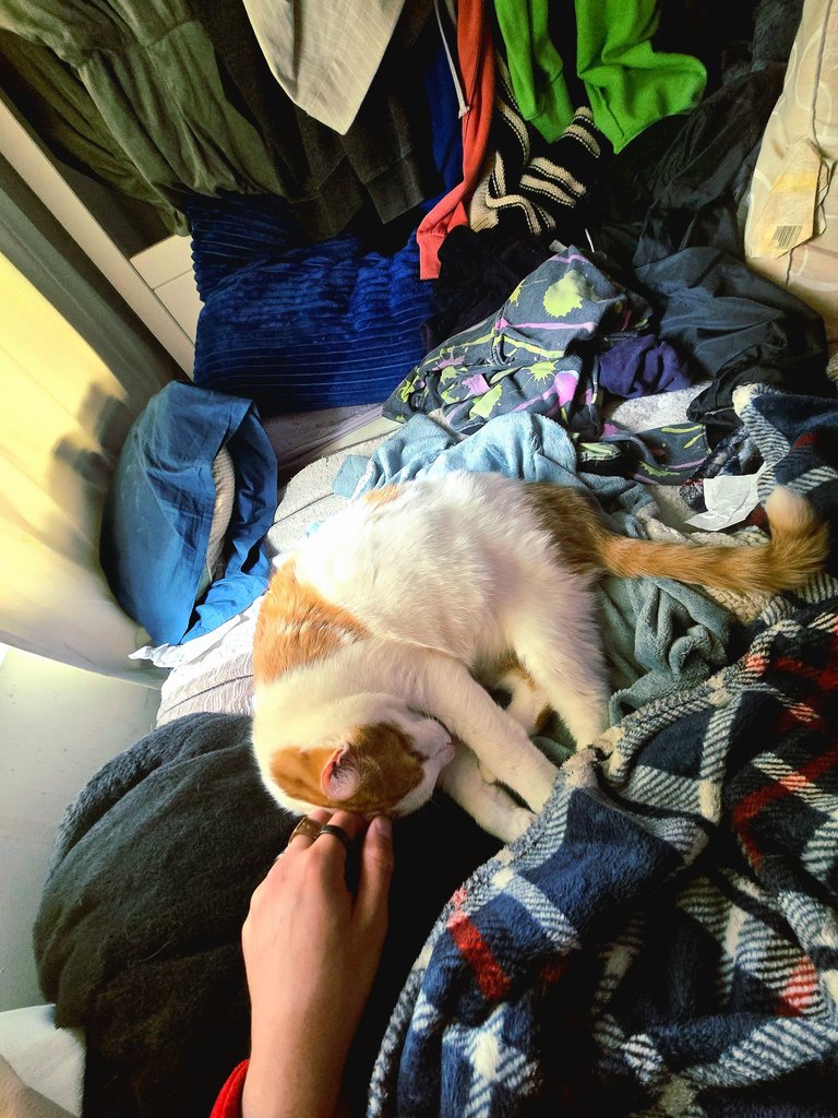 20250531_151257.jpg