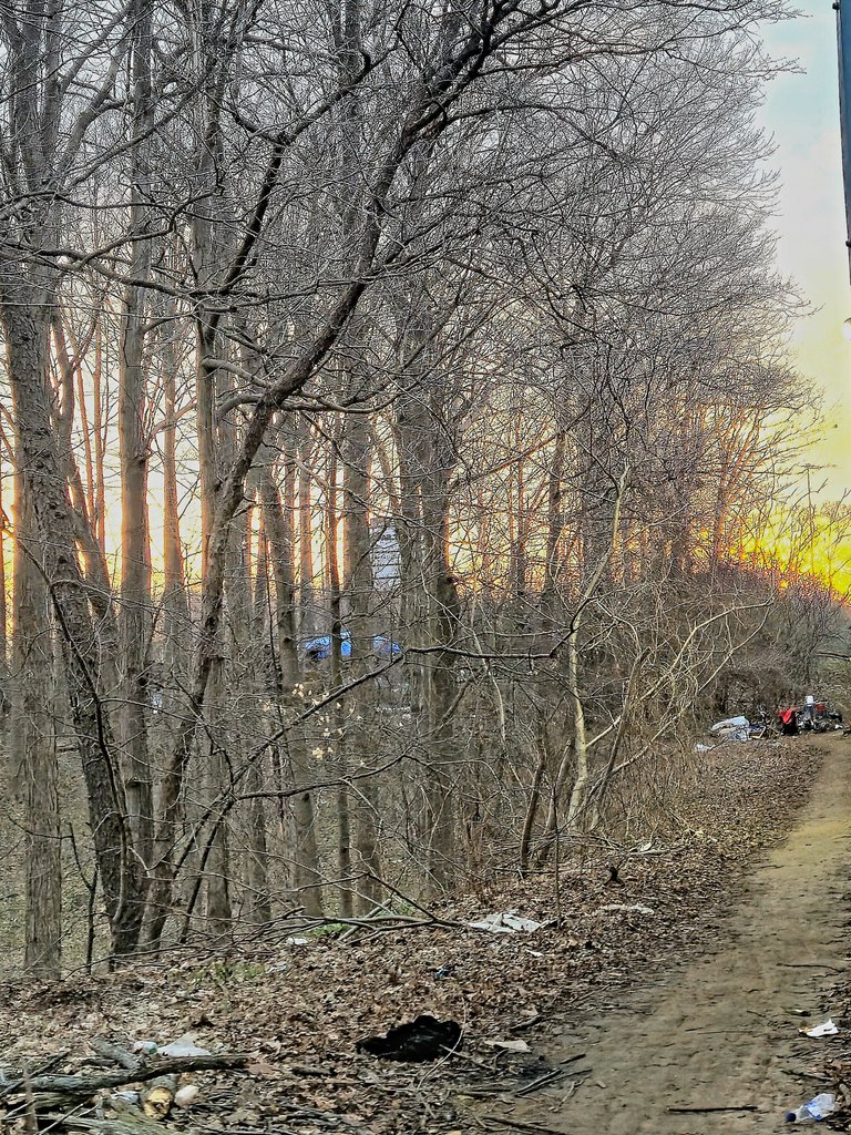 20250425_064049.jpg