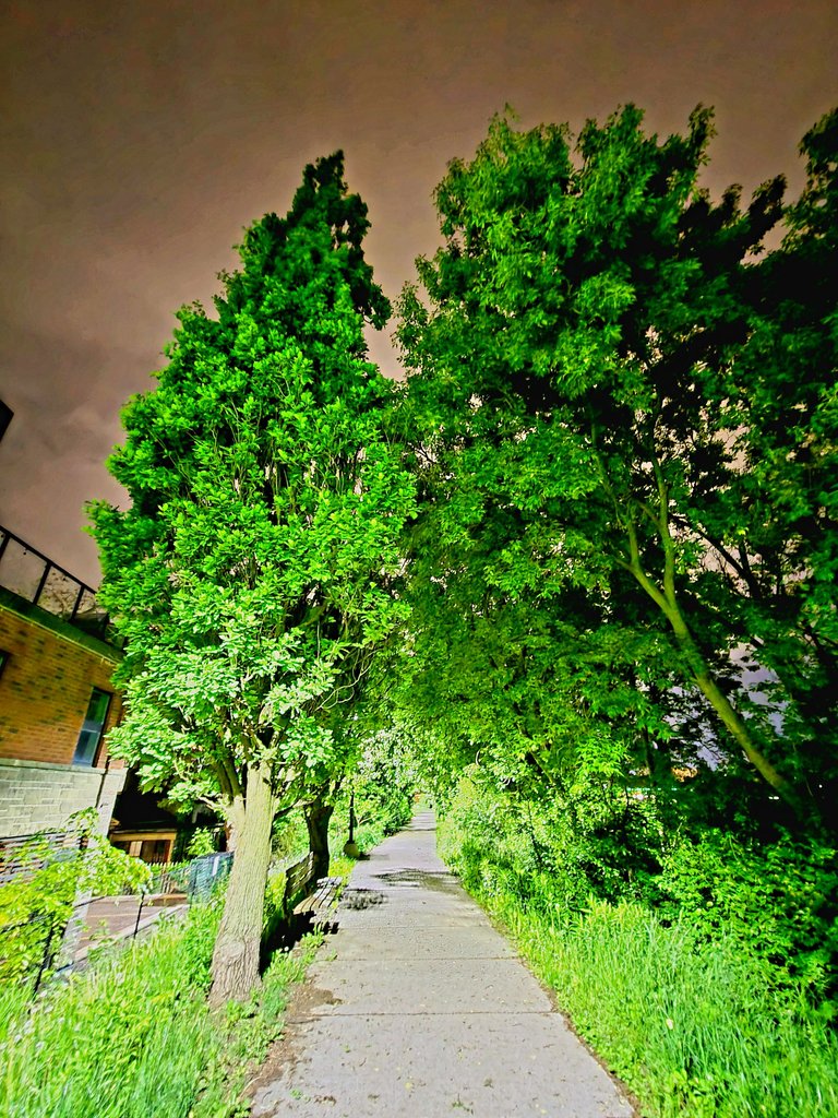 20250530_002245.jpg