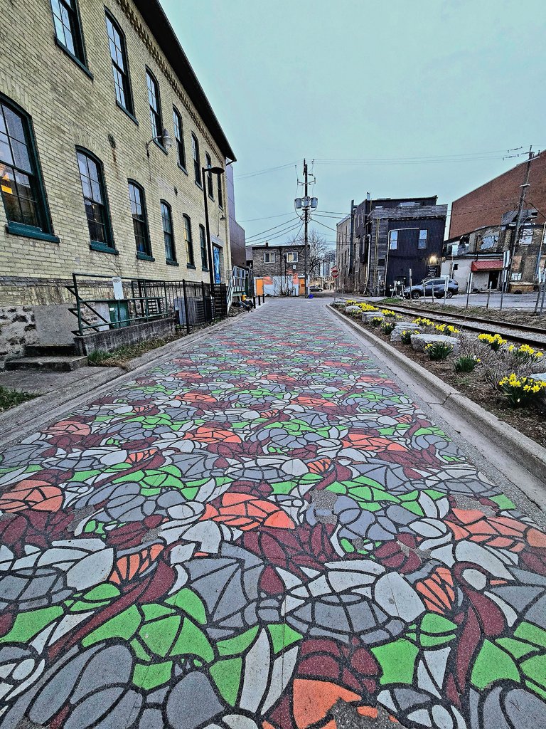 20250425_201203.jpg