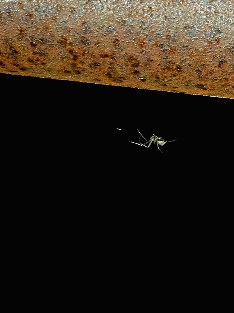 20250530_022037.jpg