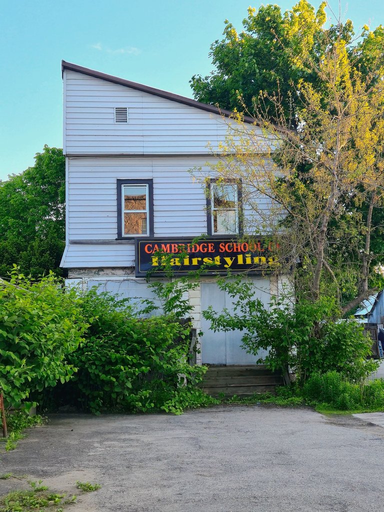 20250531_201629.jpg