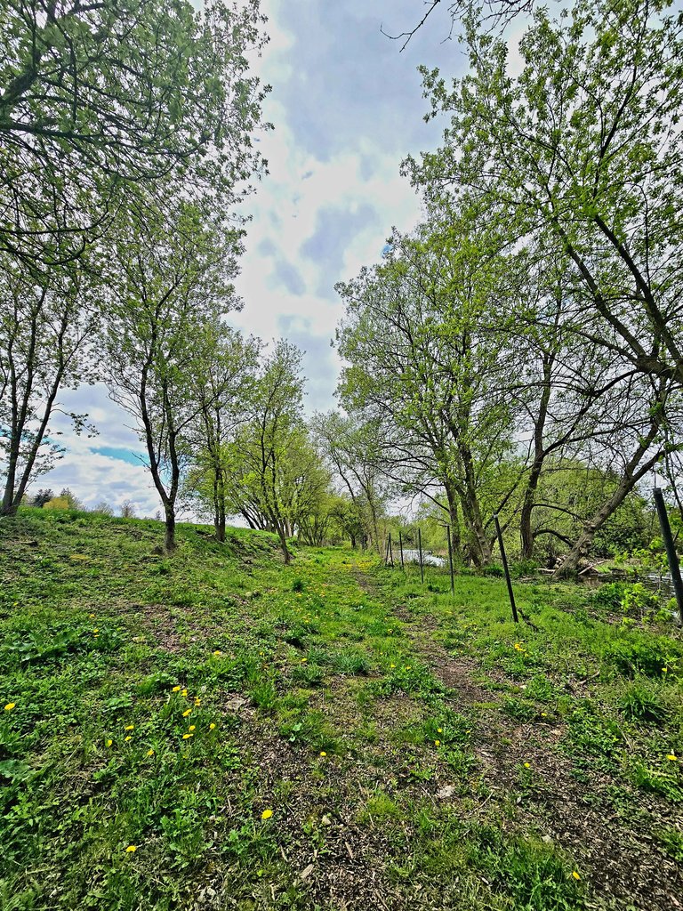 20250506_134106.jpg