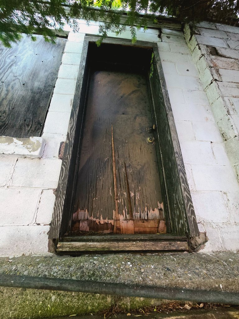 20250531_201214.jpg