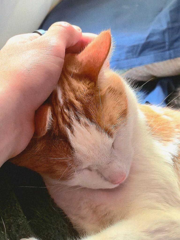 20250531_153127.jpg