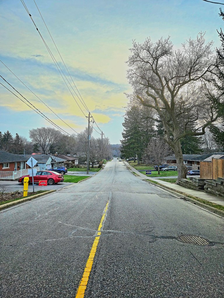 1000110661.jpg