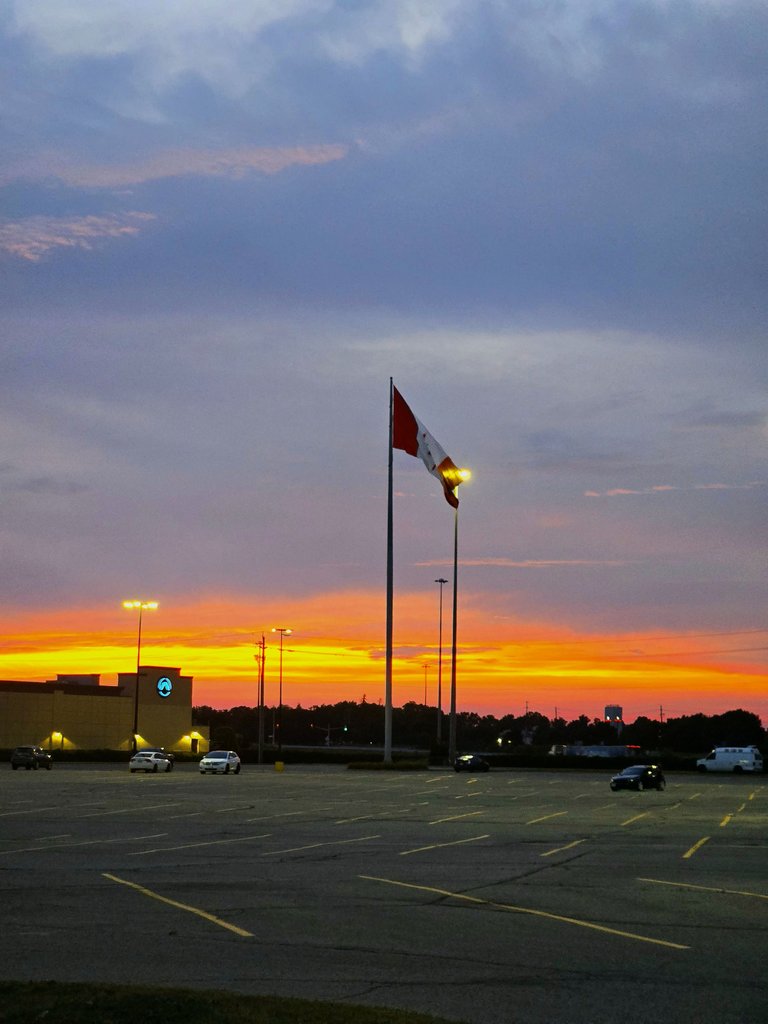 20250808_204743.jpg