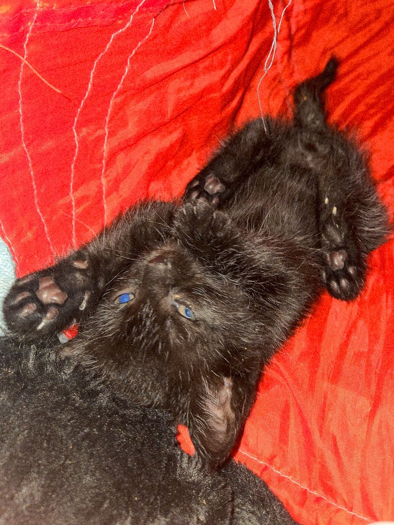 20250607_100803.jpg