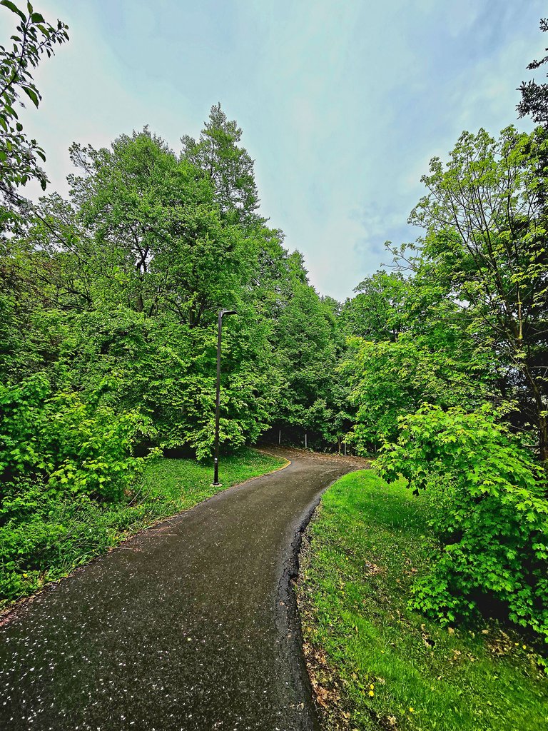 20250517_124619.jpg