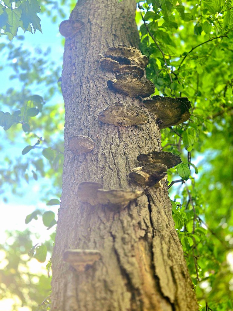 20250520_121652.jpg