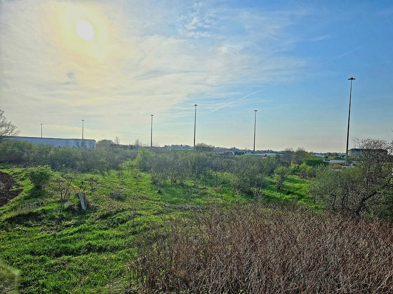 20250507_183314.jpg