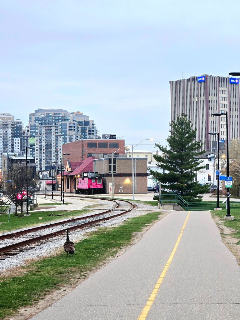 20250425_200116.jpg