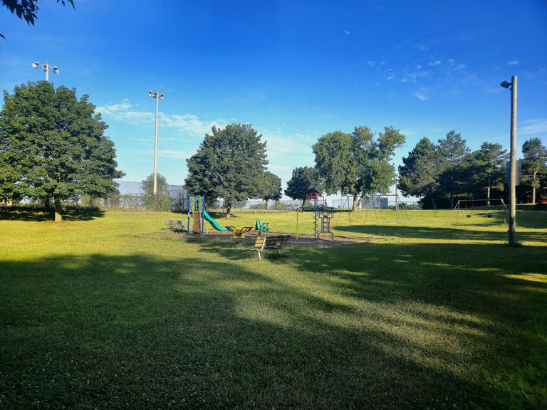 20250719_082045.jpg
