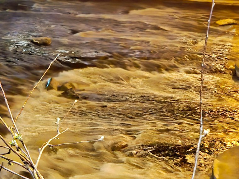 20250424_223824.jpg