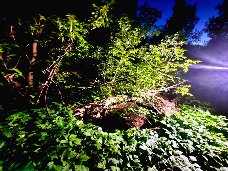 20250519_214836.jpg