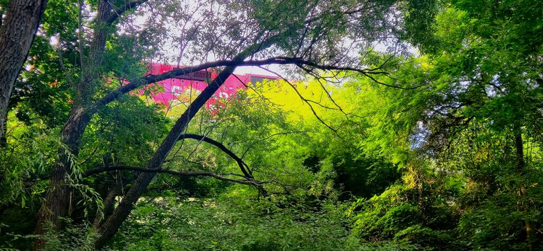20250818_190751.jpg