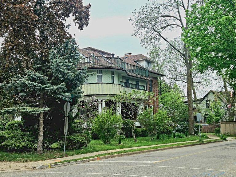 20250518_141540.jpg
