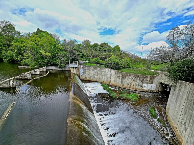 20250517_135110.jpg